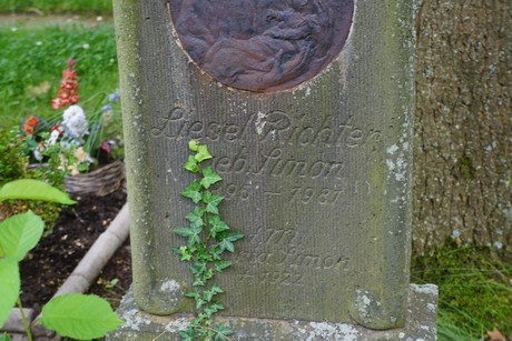 Roggendorf