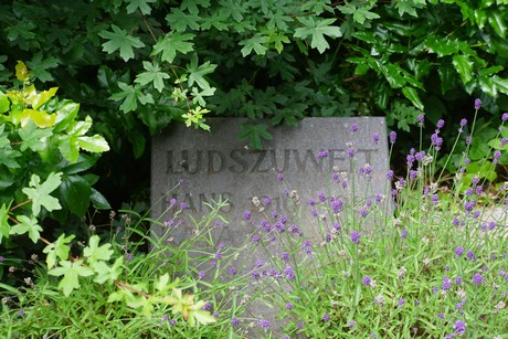 Roggendorf