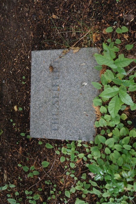 Roggendorf