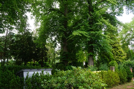 Roggendorf
