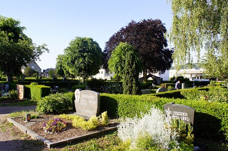 Roisdorf
