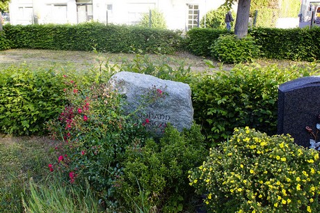 Roisdorf