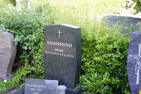 Roisdorf