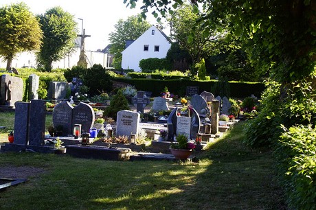 Roisdorf