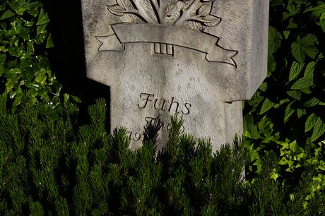 Roisdorf