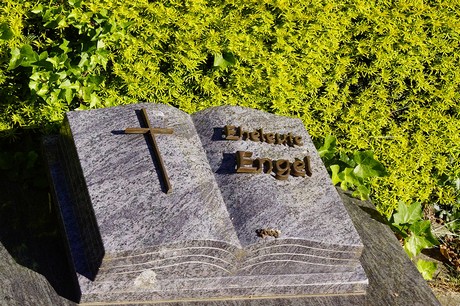 Roisdorf