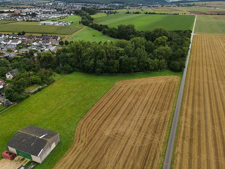 Roitzheim