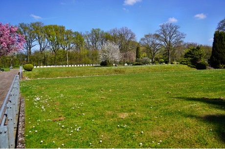 Rheindahlen