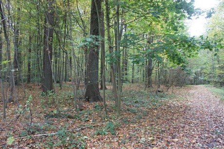 roesrath