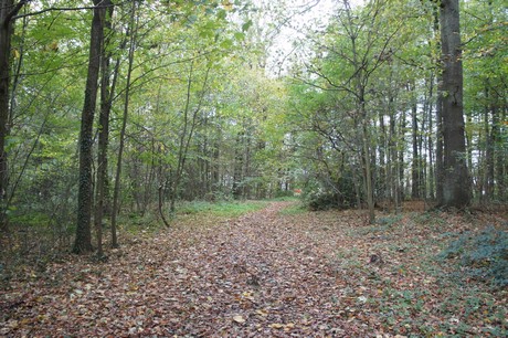 roesrath