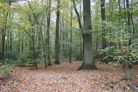 roesrath