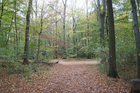 roesrath
