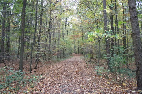 roesrath