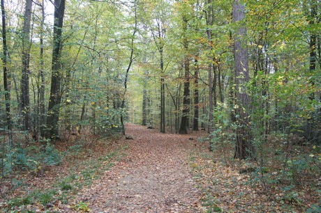 roesrath