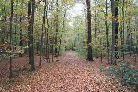 roesrath