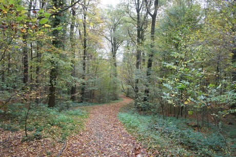roesrath