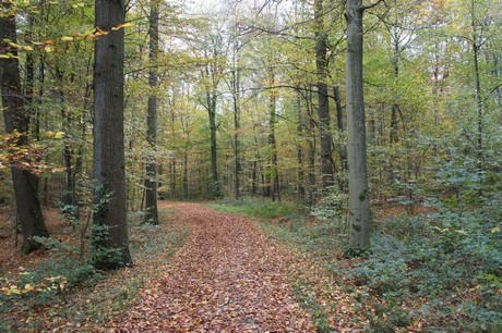 roesrath