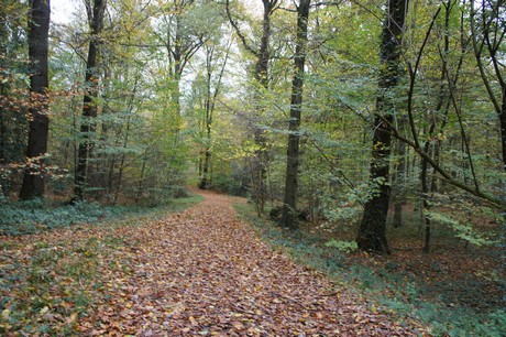 roesrath
