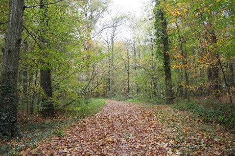 roesrath