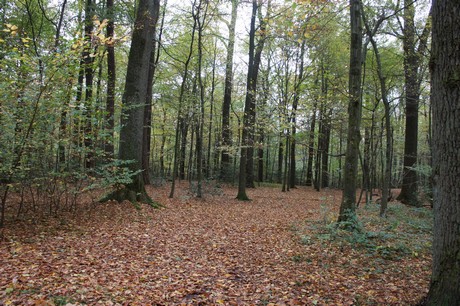 roesrath
