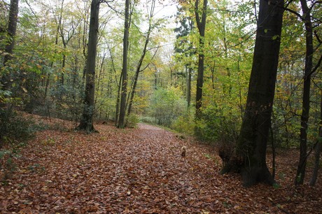 roesrath