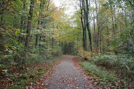roesrath