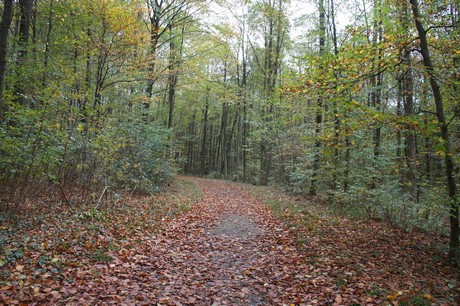 roesrath