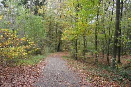 roesrath