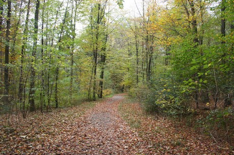 roesrath