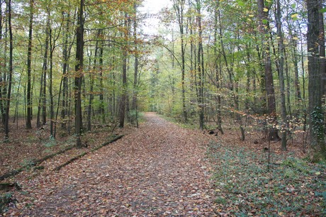 roesrath