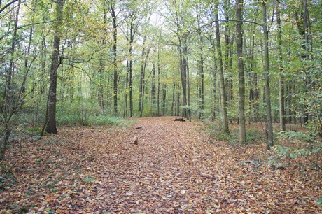roesrath