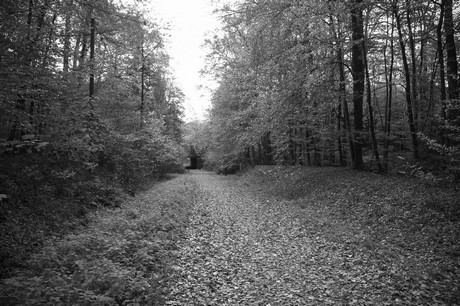 roesrath