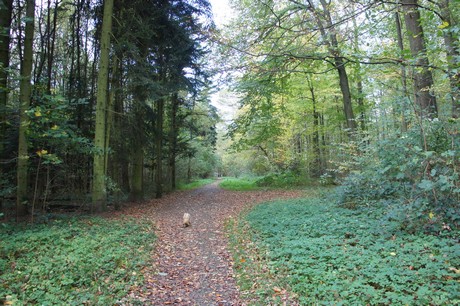 roesrath
