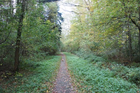 roesrath