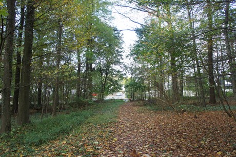 roesrath