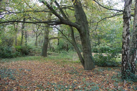roesrath