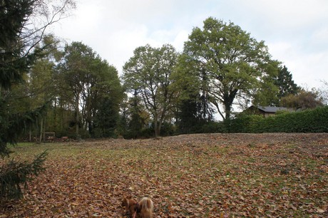 roesrath