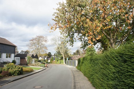 roesrath