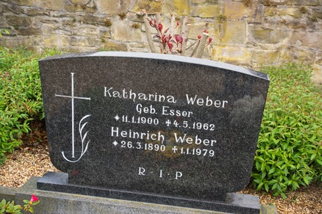 roevenich