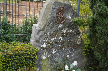 roevenich