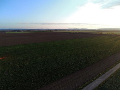 roevenich