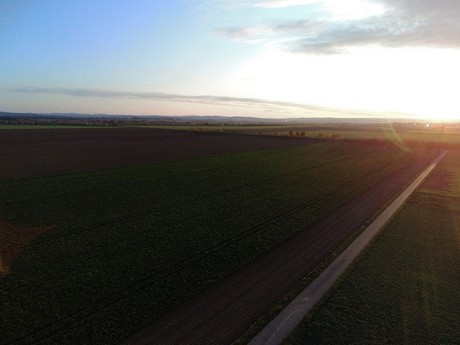 roevenich