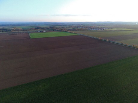 roevenich