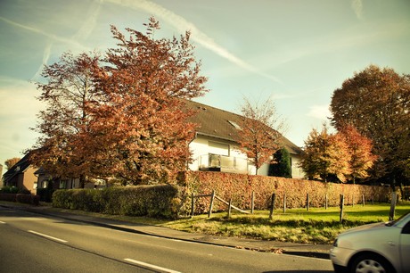 rollesbroich