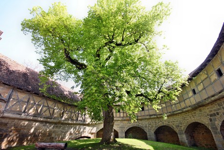 rothenburg-ob-der-tauber