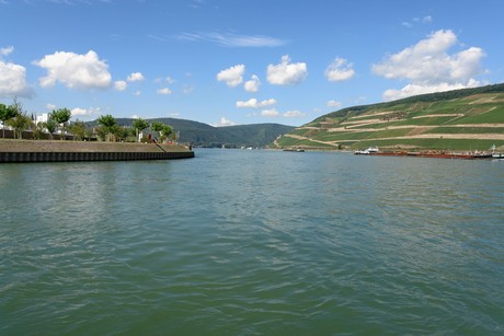 ruedesheim