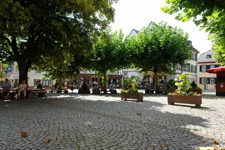ruedesheim