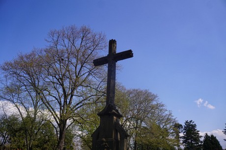 Schwarzrheindorf