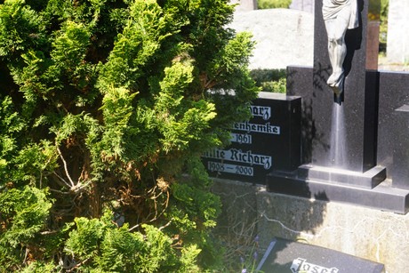 Schwarzrheindorf