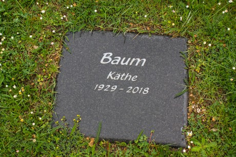 Schwerfen